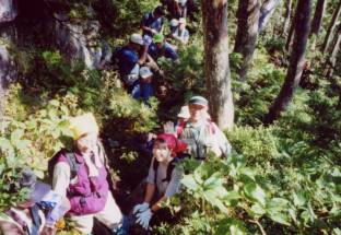 �Ђ�.JPG (19741 �o�C�g)