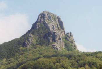 �D����~1.JPG (9533 �o�C�g)