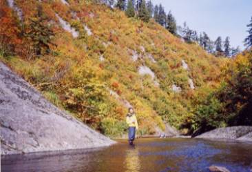 image010.jpg (19446 �o�C�g)