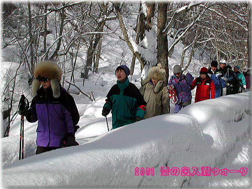 oirase2001_2.jpg (70700 �o�C�g)