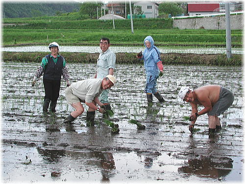 2001taue.jpg (74065 �o�C�g)