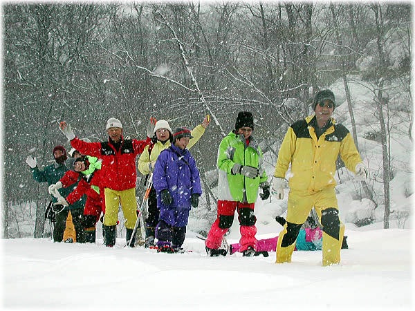 2002oirase01.jpg (88552 �o�C�g)