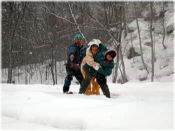 2002oirase03.jpg (26159 �o�C�g)