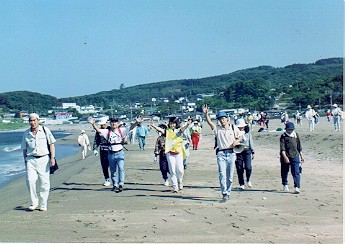 sirahama02.jpg (30674 �o�C�g)