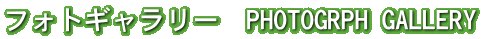 �t�H�g�M�������[�@PHOTOGRPH GALLERY