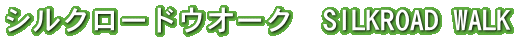 �V���N���[�h�E�I�[�N�@SILKROAD WALK