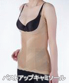 �o�X�g �A�b�v �L���~�\�[��