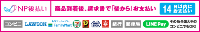 NP �㕥��