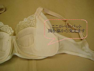 �t���J�b�v �G���W�F�� �^�b�` �u�� �E�� �x�� �p�b�g