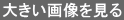 �傫���摜������