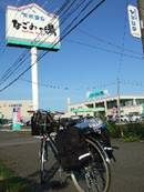 DSCF3431
