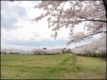 nanbuyama