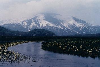 ha-oze-sibutusan