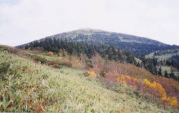 image004.jpg (12601 バイト)