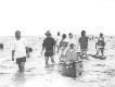 Jusanko_s.jpg (3182 バイト)
